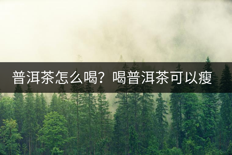 普洱茶怎么喝？喝普洱茶可以瘦腹嗎？