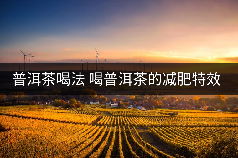 普洱茶喝法 喝普洱茶的減肥特效是什么呢？