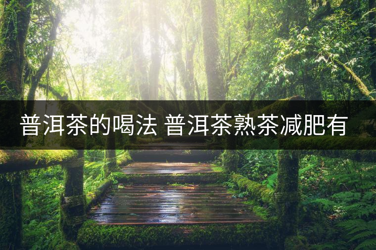 普洱茶的喝法 普洱茶熟茶減肥有什么效果嗎？