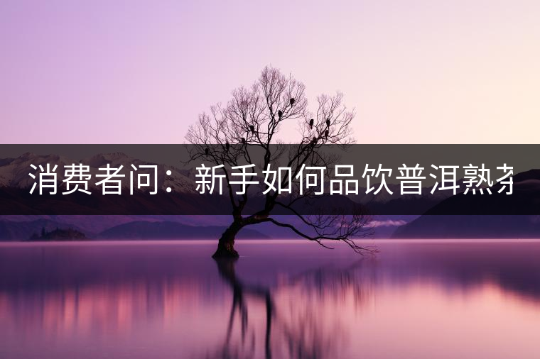 消費(fèi)者問：新手如何品飲普洱熟茶？