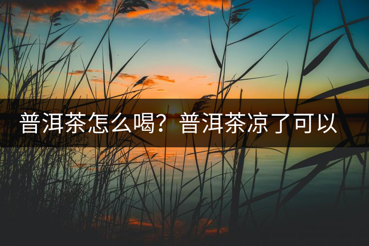 普洱茶怎么喝？普洱茶涼了可以喝嗎？