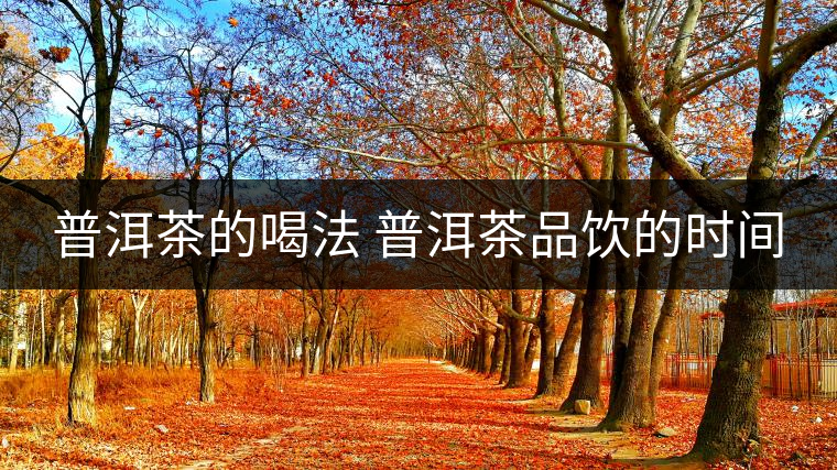 普洱茶的喝法 普洱茶品飲的時(shí)間 普洱茶的喝法 普洱茶品飲的時(shí)間