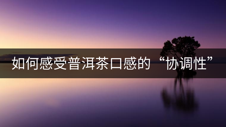 如何感受普洱茶口感的“協(xié)調(diào)性”？