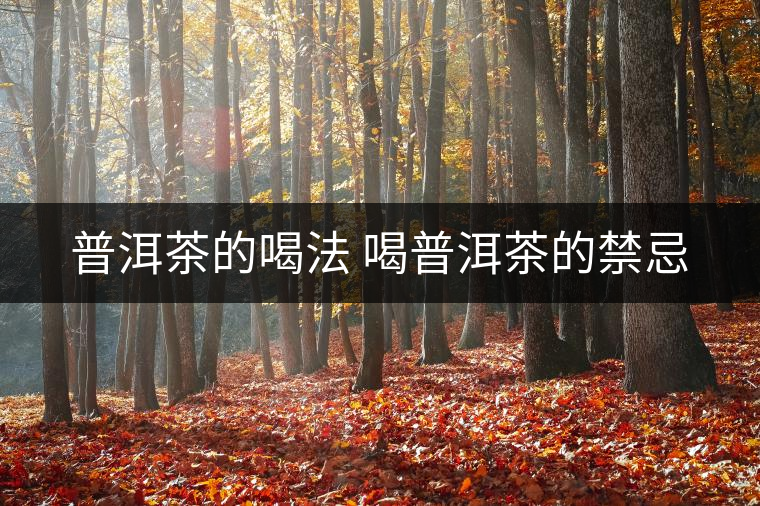 普洱茶的喝法 喝普洱茶的禁忌 普洱茶的喝法 喝普洱茶的禁忌