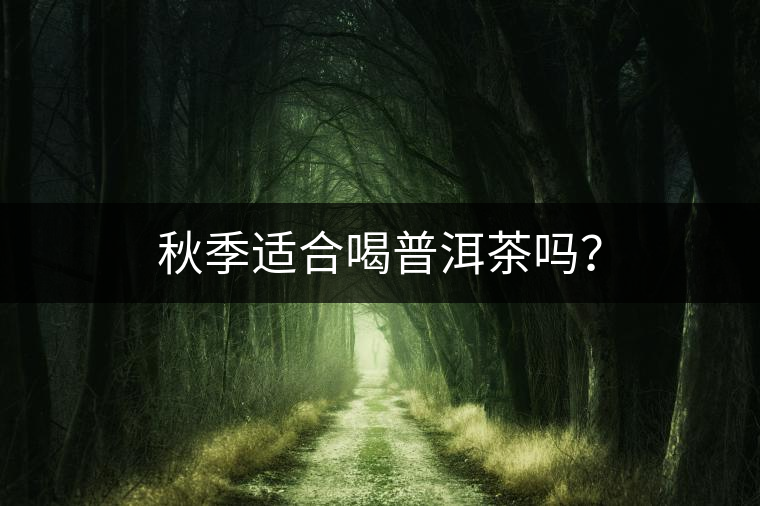 秋季適合喝普洱茶嗎？
