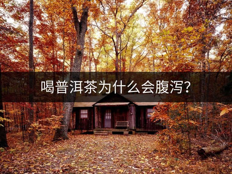 喝普洱茶為什么會腹瀉？