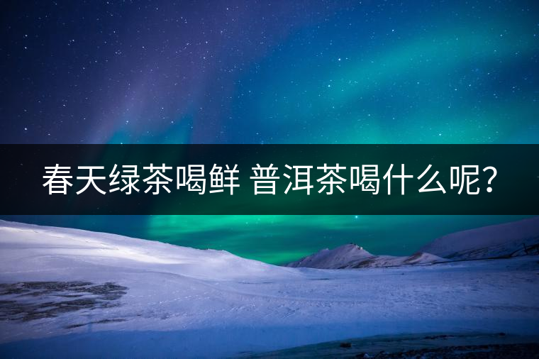 春天綠茶喝鮮 普洱茶喝什么呢？