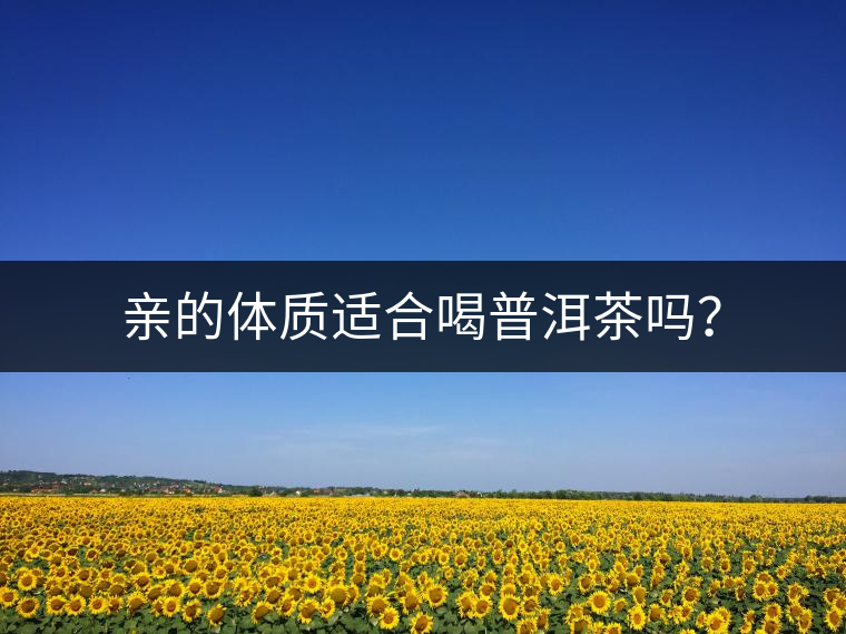 親的體質(zhì)適合喝普洱茶嗎？