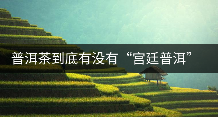 普洱茶到底有沒有“宮廷普洱”一說？它到底是什么？