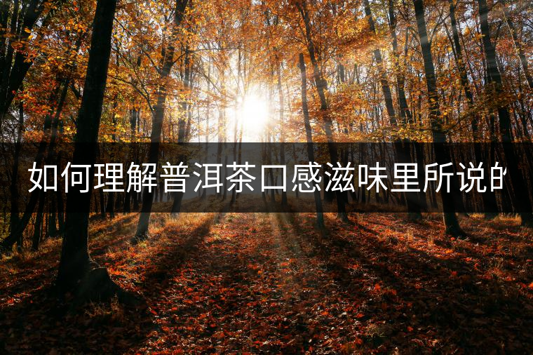 如何理解普洱茶口感滋味里所說(shuō)的“化” 如何理解普洱茶口感滋味里所說(shuō)的“化”