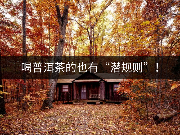 喝普洱茶的也有“潛規(guī)則”！
