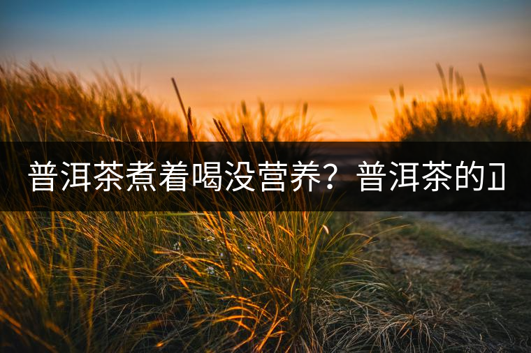 普洱茶煮著喝沒營養(yǎng)？普洱茶的正確煮法！