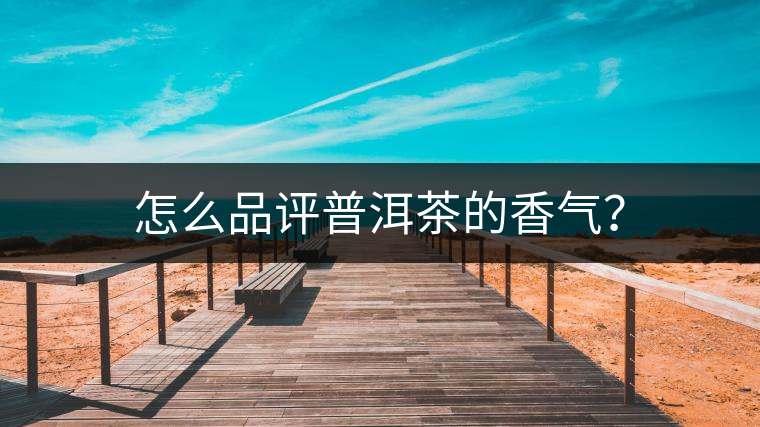 怎么品評(píng)普洱茶的香氣？