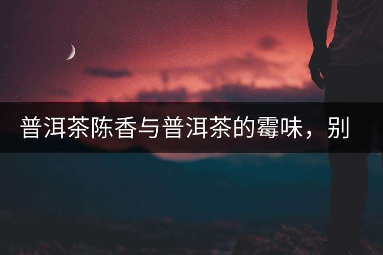 普洱茶陳香與普洱茶的霉味，別把它們給搞混了