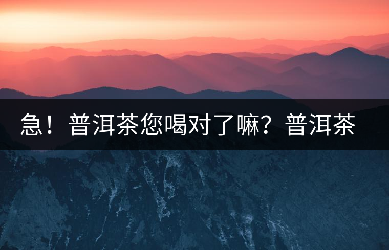 急！普洱茶您喝對(duì)了嘛？普洱茶的十八般武藝