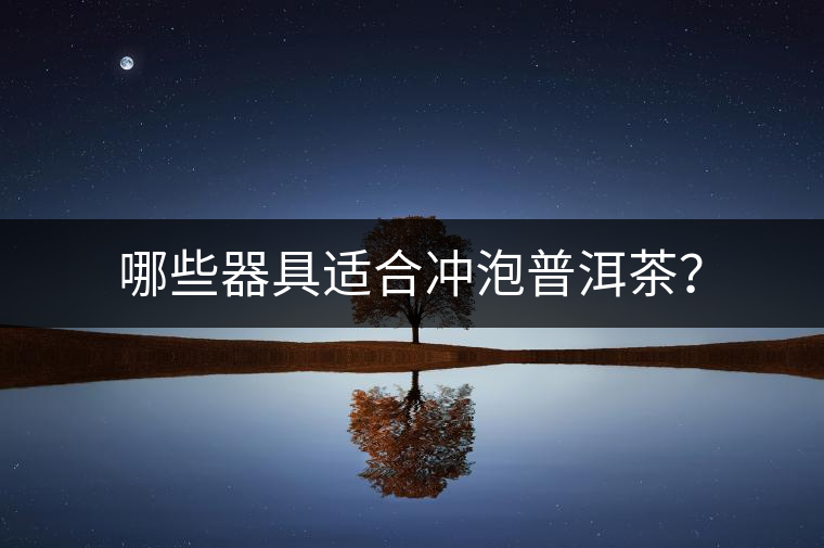 哪些器具適合沖泡普洱茶？