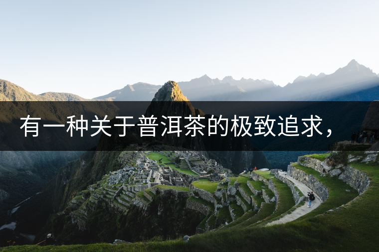 有一種關于普洱茶的極致追求， 當屬于鴻中鴻