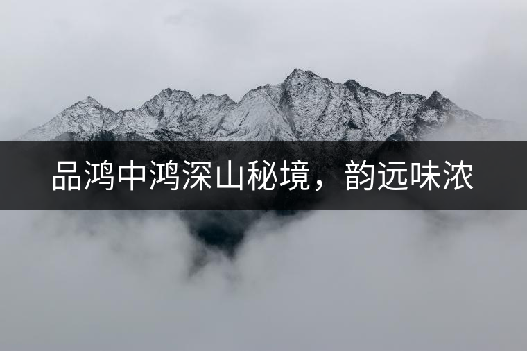 品鴻中鴻深山秘境，韻遠(yuǎn)味濃