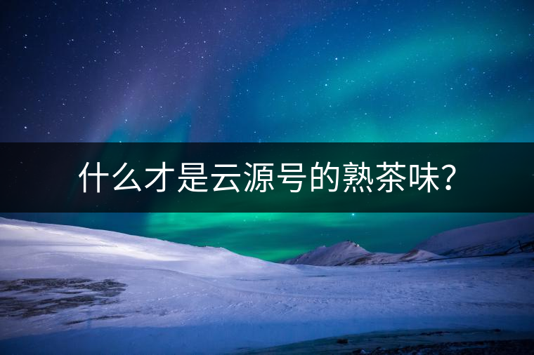 什么才是云源號的熟茶味？
