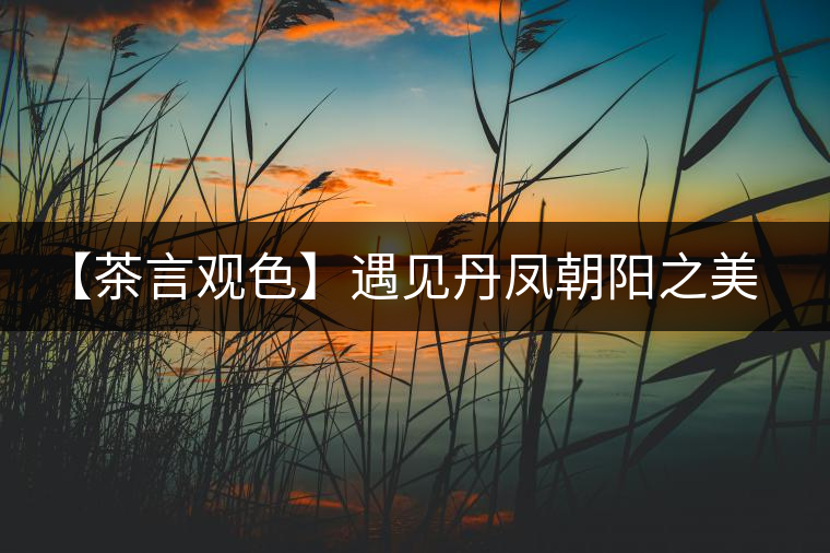 【茶言觀色】遇見丹鳳朝陽之美(熟) 【茶言觀色】遇見丹鳳朝陽之美(熟)