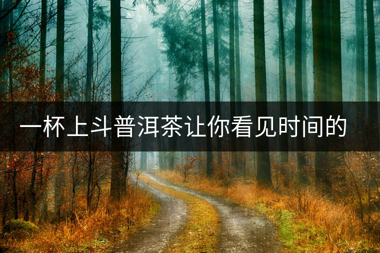 一杯上斗普洱茶讓你看見時間的味道 一杯上斗普洱茶讓你看見時間的味道