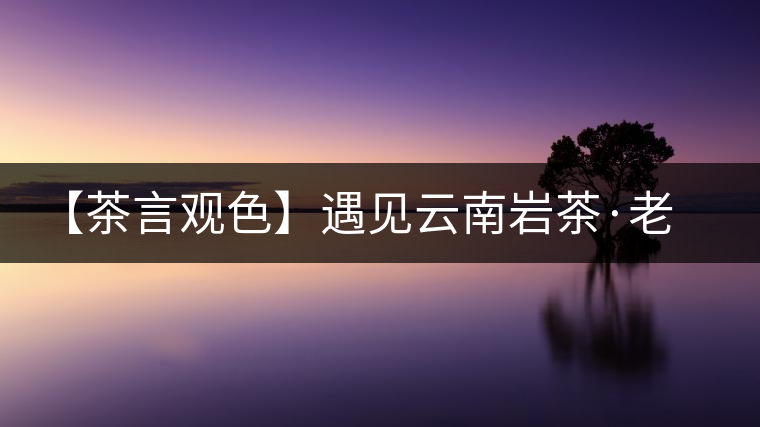 【茶言觀色】遇見云南巖茶·老巖磚之美 【茶言觀色】遇見云南巖茶·老巖磚之美