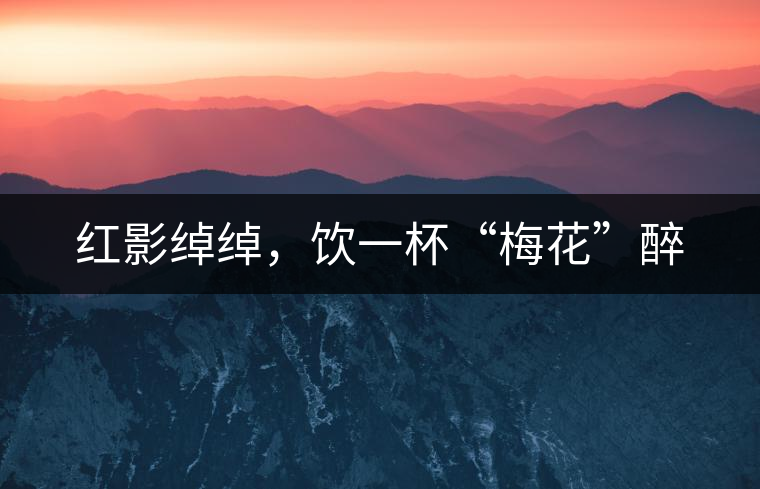 紅影綽綽，飲一杯“梅花”醉