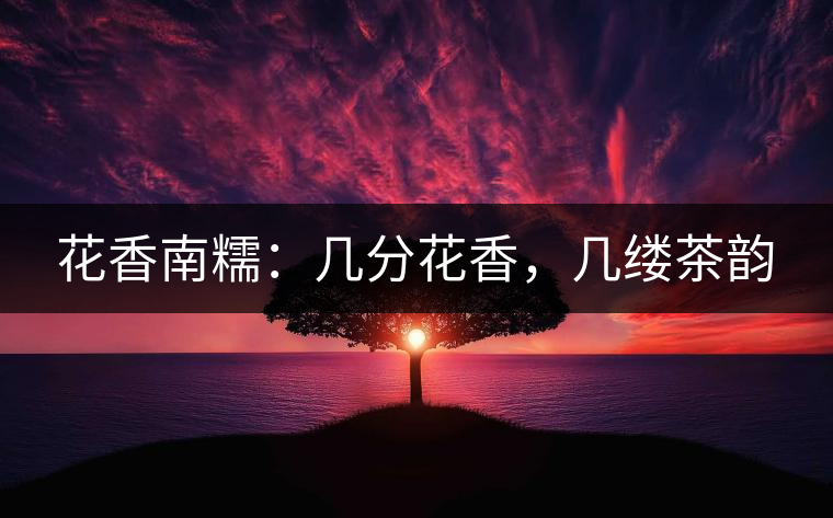 花香南糯：幾分花香，幾縷茶韻