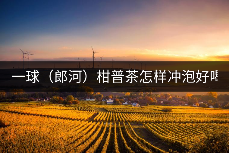 一球（郎河）柑普茶怎樣沖泡好喝？