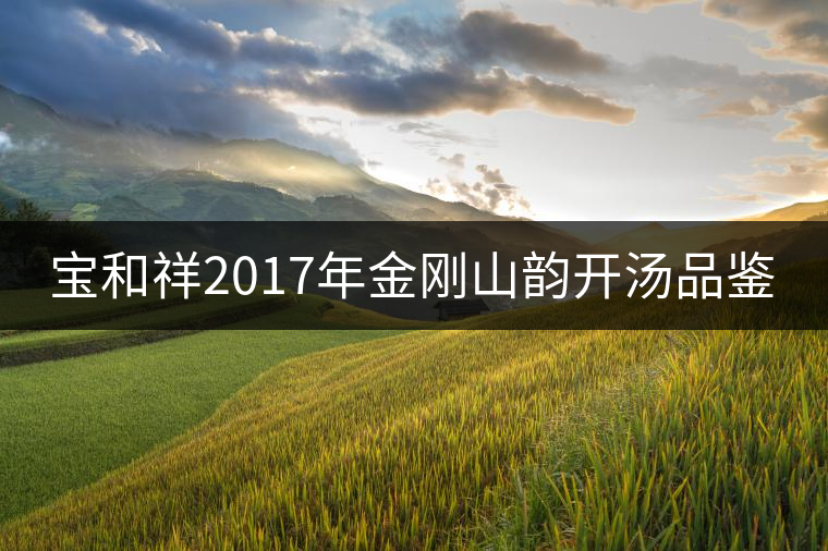 寶和祥2017年金剛山韻開湯品鑒 寶和祥2017年金剛山韻開湯品鑒