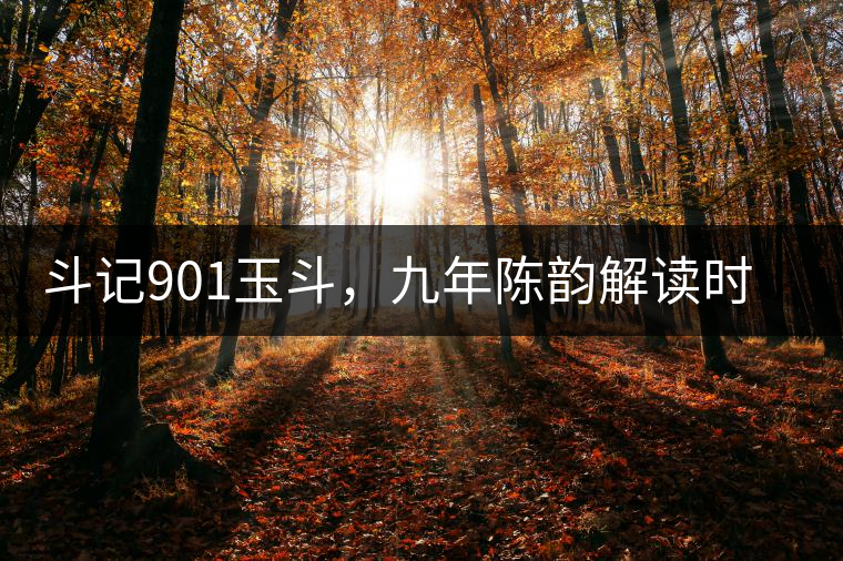 斗記901玉斗，九年陳韻解讀時間之味