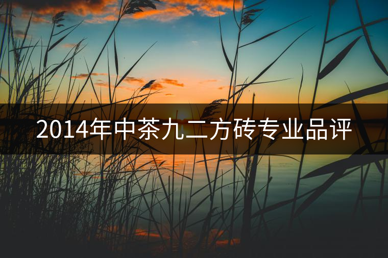 2014年中茶九二方磚專(zhuān)業(yè)品評(píng) 2014年中茶九二方磚專(zhuān)業(yè)品評(píng)