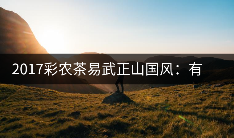 2017彩農(nóng)茶易武正山國(guó)風(fēng)：有茶韻，亦有國(guó)風(fēng)
