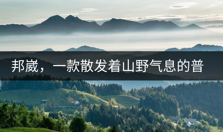 邦崴，一款散發(fā)著山野氣息的普洱