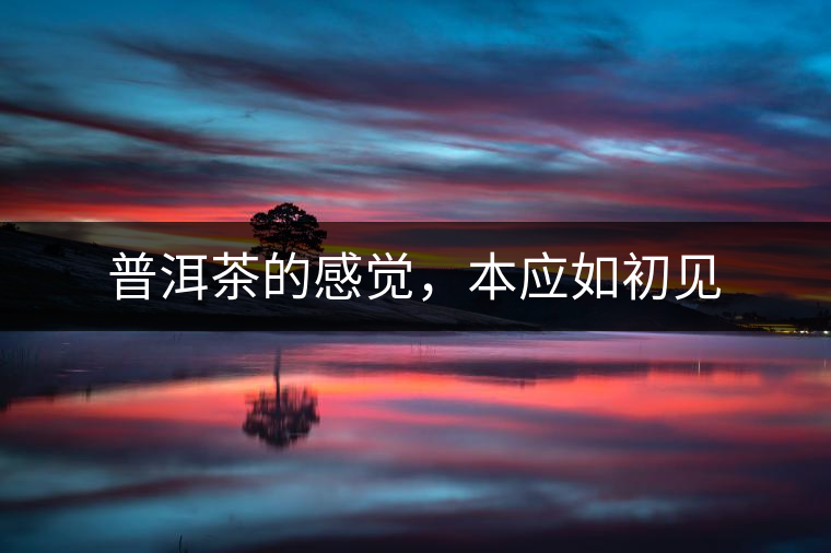 普洱茶的感覺(jué)，本應(yīng)如初見(jiàn)