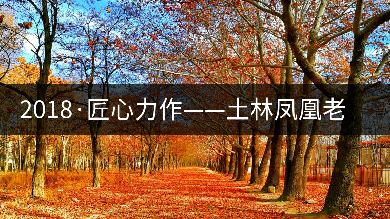 2018·匠心力作——土林鳳凰老茶頭古樹磚茶