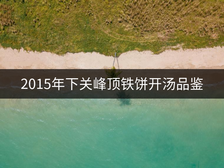 2015年下關(guān)峰頂鐵餅開(kāi)湯品鑒 2015年下關(guān)峰頂鐵餅開(kāi)湯品鑒