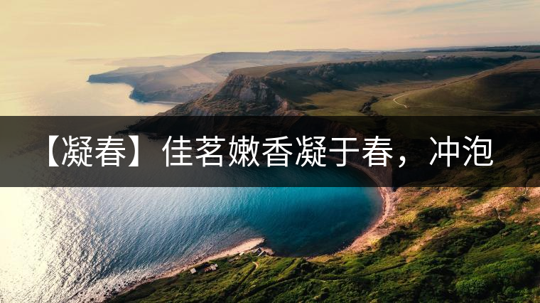 【凝春】佳茗嫩香凝于春，沖泡要訣盡在此