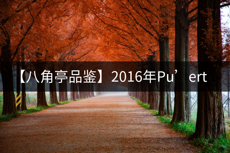 【八角亭品鑒】2016年P(guān)u’ertea 【八角亭品鑒】2016年P(guān)u’ertea