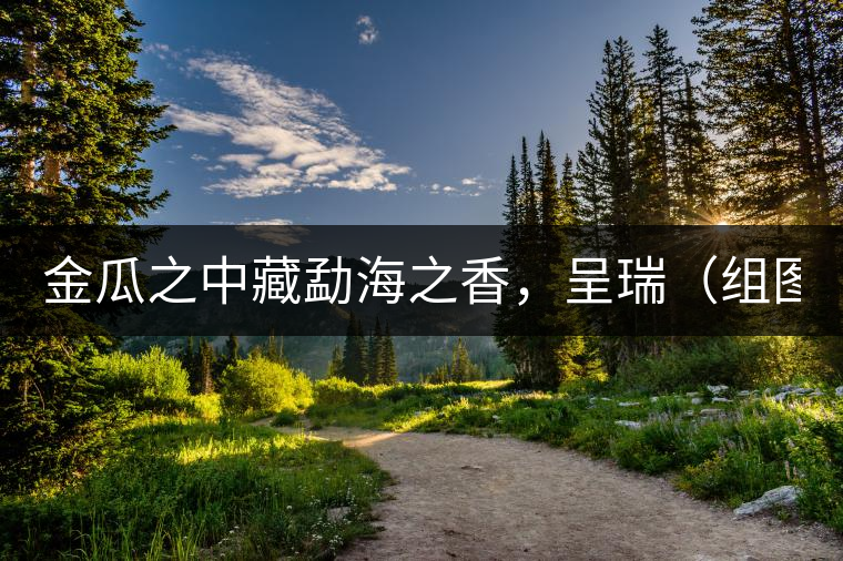 金瓜之中藏勐海之香，呈瑞（組圖）