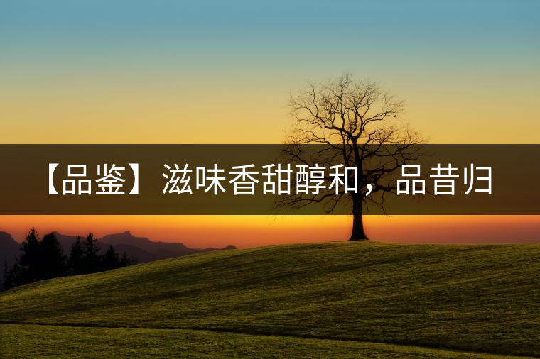 【品鑒】滋味香甜醇和，品昔歸古樹黃片