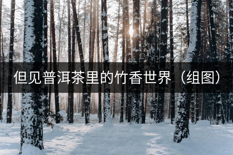但見普洱茶里的竹香世界(組圖) 但見普洱茶里的竹香世界(組圖)