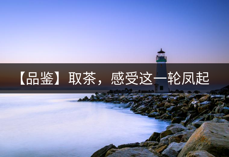 【品鑒】取茶，感受這一輪鳳起古茶的魅力