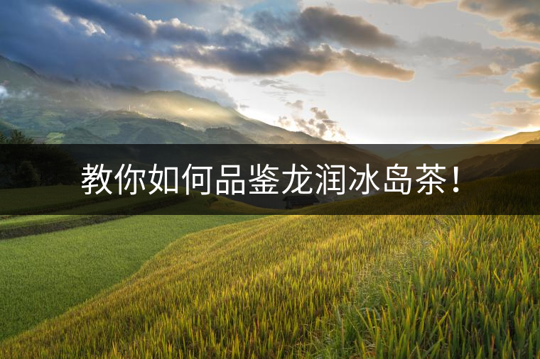 教你如何品鑒龍潤冰島茶！