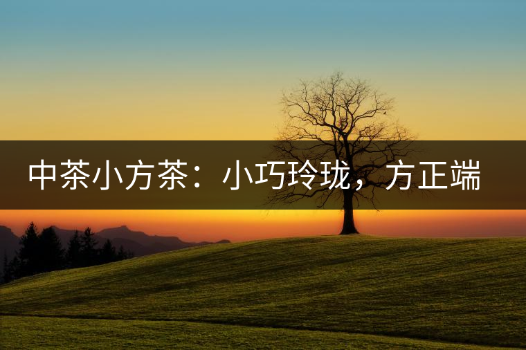 中茶小方茶：小巧玲瓏，方正端莊