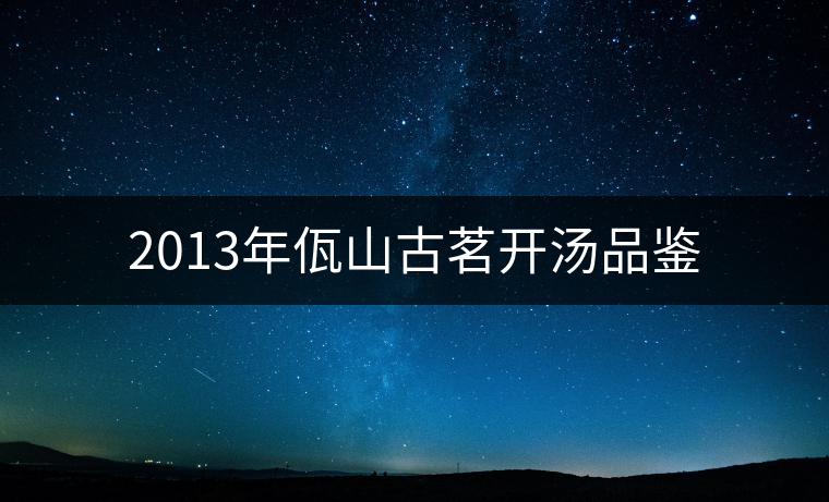 2013年佤山古茗開(kāi)湯品鑒 2013年佤山古茗開(kāi)湯品鑒