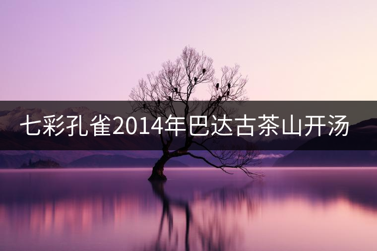 七彩孔雀2014年巴達古茶山開湯品鑒 七彩孔雀2014年巴達古茶山開湯品鑒