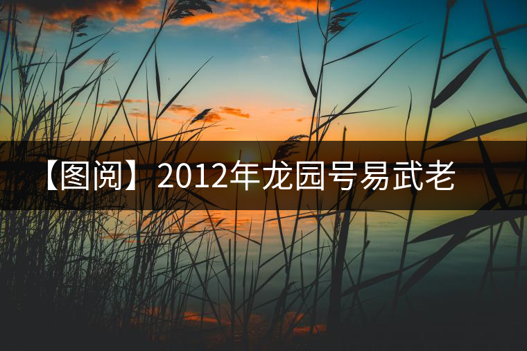 【圖閱】2012年龍園號易武老樹餅茶品評