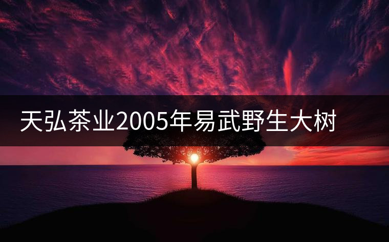 天弘茶業(yè)2005年易武野生大樹(shù)生茶開(kāi)湯品鑒 天弘茶業(yè)2005年易武野生大樹(shù)生茶開(kāi)湯品鑒