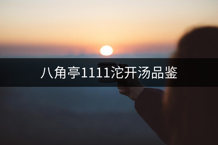 八角亭1111沱開(kāi)湯品鑒 八角亭1111沱開(kāi)湯品鑒